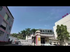 Introduction de vidéo de société